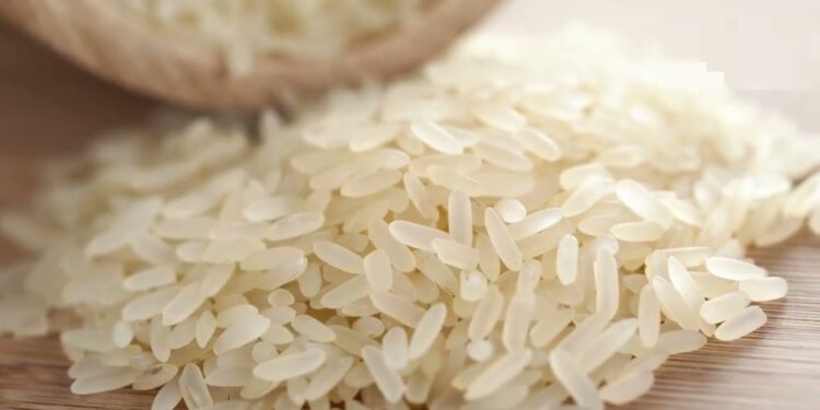 تحديث أسعار الأرز عريض ورفيع الحبة اليوم الإثنين 16 ديسمبر 2024