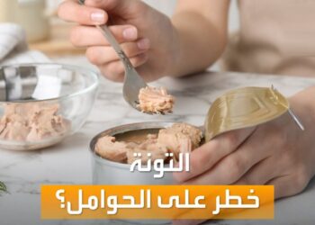 التونة والحمل هل هي الخيار الصحي أم لا؟