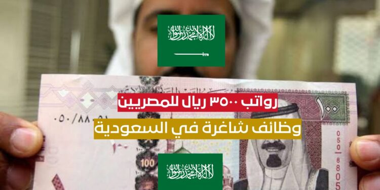 شروط التقديم على وظائف المصريين في السعودية بـ 15 ألف ريال ومدة التقديم 7 أيام