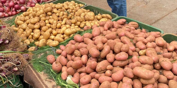 سعر البطاطس اليوم الجمعة 13 ديسمبر 2024.. تراجع في الأسعار جملة وقطاعي
