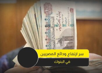 البنوك المصرية تدعم مخصصاتها بـ22 مليار جنيه في 3 أشهر