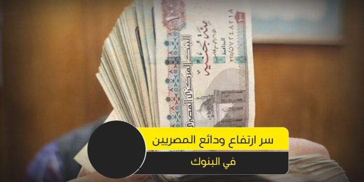 البنوك المصرية تدعم مخصصاتها بـ22 مليار جنيه في 3 أشهر
