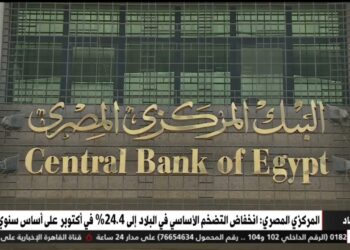 المركزي يكشف عن انخفاض القروض غير المنتظمة لأكبر 10 بنوك إلى 2% في الربع الثالث 2024
