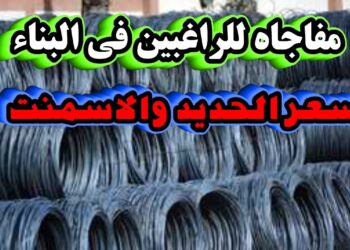 سعر الحديد الاستثماري في الأسواق المصرية اليوم الأربعاء 25 ديسمبر 2024