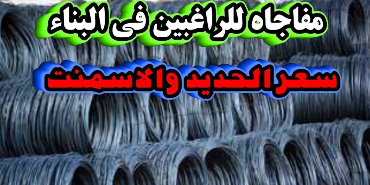 سعر الحديد الاستثماري في الأسواق المصرية اليوم الأربعاء 25 ديسمبر 2024
