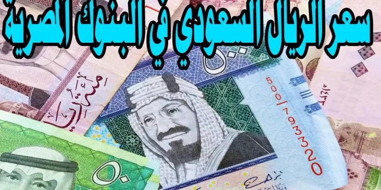 سعر الريال السعودي اليوم الأحد 8 ديسمبر 2024 في البنوك المصرية مقابل الجنيه المصري 1 سعر الريال السعودي اليوم الأحد 8 ديسمبر 2024 في البنوك المصرية مقابل الجنيه المصري