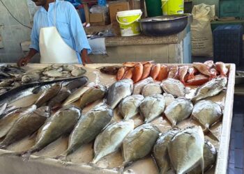 أسعار السمك والبوري في سوق الجملة اليوم 1 ديسمبر: مفاجأة في سعر البلطي