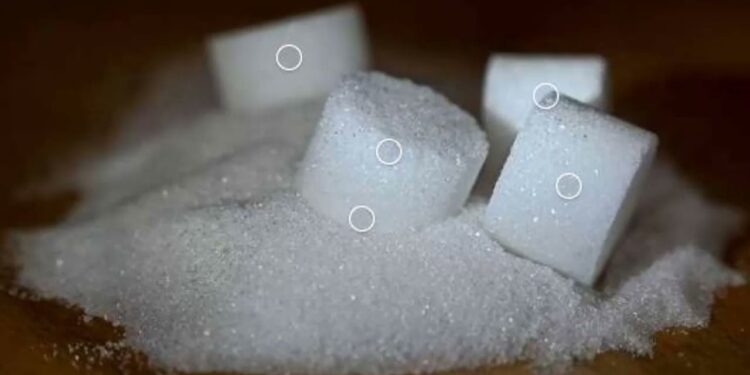 سعر كيلو السكر في الأسواق المحلية اليوم الأحد 22 ديسمبر 2024 1 سعر كيلو السكر في الأسواق المحلية اليوم الأحد 22 ديسمبر 2024