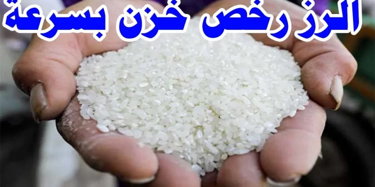 سعر الأرز والشعير اليوم 1 ديسمبر: مفاجأة بعد تراجع سعر الشعير 1 سعر الأرز والشعير اليوم 1 ديسمبر: مفاجأة بعد تراجع سعر الشعير