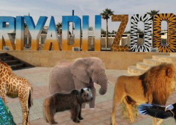 Riyadh Zoo الآن: كيفية حجز تذاكر حديقة الحيوان بالرياض عبر Webook