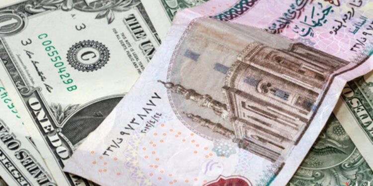 سعر الدولار مقابل الجنيه 12 ديسمبر 2024: الارتفاع الأخير ومفاجأة في سعر الريال السعودي
