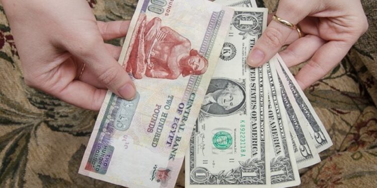 سعر الدولار في البنوك المصرية اليوم الإثنين 16 ديسمبر 2024