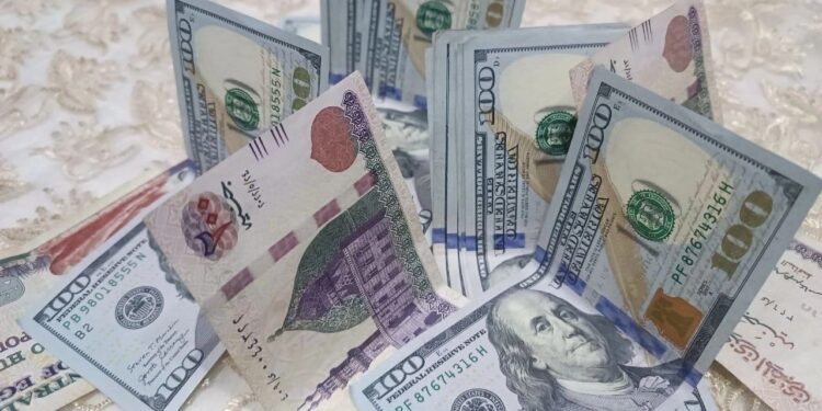 الدولار الأمريكي مقابل الجنيه المصري في السوق اليوم الأحد 8 ديسمبر 2024