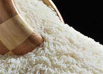 سعر الأرز رفيع وعريض الحبة اليوم 13 ديسمبر.. وتطورات مفاجئة في أسعار الشعير