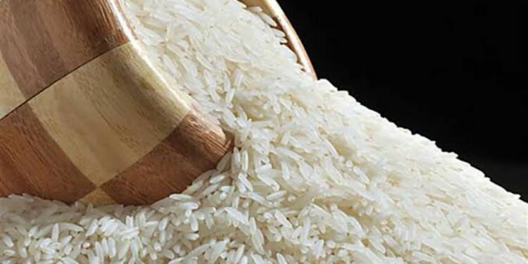 سعر الأرز رفيع وعريض الحبة اليوم 13 ديسمبر.. وتطورات مفاجئة في أسعار الشعير 1 سعر الأرز رفيع وعريض الحبة اليوم 13 ديسمبر.. وتطورات مفاجئة في أسعار الشعير