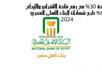 شهادات استثمار البنك الأهلي المصري لمدة سنتين: الأسعار والشروط