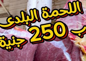 أسعار اللحوم اليوم: تقرير كامل عن الأسعار
