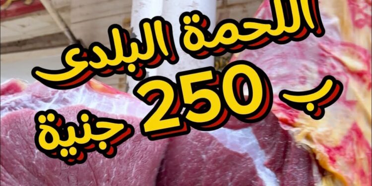 أسعار اللحوم اليوم: تقرير كامل عن الأسعار