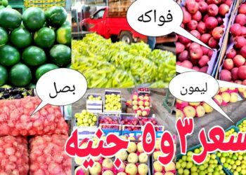 أسعار الخضار والفاكهة اليوم الأربعاء 29 يناير 2025 في الأسواق المصرية