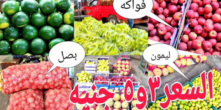 أسعار الخضار والفاكهة اليوم الأربعاء 29 يناير 2025 في الأسواق المصرية