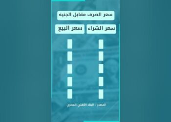 سعر صرف العملات العربية مقابل الجنيه اليوم الأربعاء في البنوك المصرية
