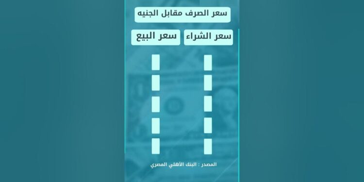 سعر صرف العملات العربية مقابل الجنيه اليوم الأربعاء في البنوك المصرية 1 سعر صرف العملات العربية مقابل الجنيه اليوم الأربعاء في البنوك المصرية