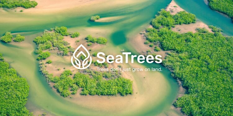 سامسونج و Seatrees تدخلان في شراكة جديدة لدعم المحيطات والمساهمة في الاستدامة البيئية