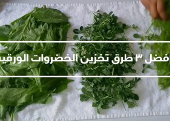 كيفية حفظ الخضار الورقية بطرق صحيحة نصائح للوقاية من الذبول