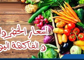 أسعار الخضروات والفاكهة في الأسواق اليوم نظرة شاملة