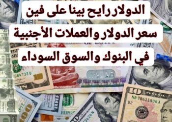 سعر الدولار اليوم الأربعاء 15 يناير 2025 مقابل الجنيه المصري ما بين تراجع وصعود في البنوك