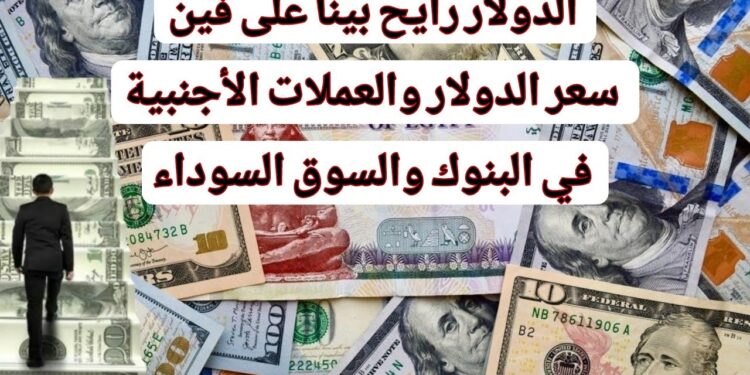 سعر الدولار اليوم الأربعاء 15 يناير 2025 مقابل الجنيه المصري ما بين تراجع وصعود في البنوك