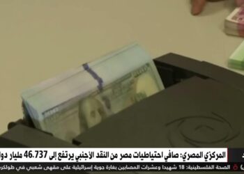 البنك المركزي المصري يكشف عن زيادة احتياطي النقد الأجنبي إلى 47.1 مليار دولار بنهاية 2024