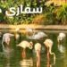 أسعار تذاكر سفاري دبي ورابط حجز التذاكر عبر الإنترنت dubaisafari.ae 2 أسعار تذاكر سفاري دبي ورابط حجز التذاكر عبر الإنترنت dubaisafari.ae