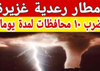 بيان الأرصاد الجوية: أمطار رعدية ورياح وضباب في هذه الأماكن غدًا الثلاثاء