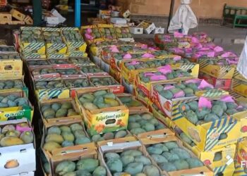 أسعار الخضروات والفواكه في سوق العبور اليوم الخميس 30 يناير 2025 تقرير مفصل