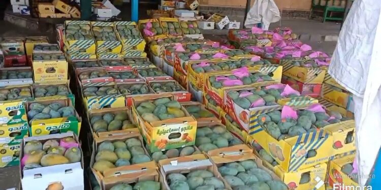 أسعار الخضروات والفواكه في سوق العبور اليوم الخميس 30 يناير 2025 تقرير مفصل 1 أسعار الخضروات والفواكه في سوق العبور اليوم الخميس 30 يناير 2025 تقرير مفصل