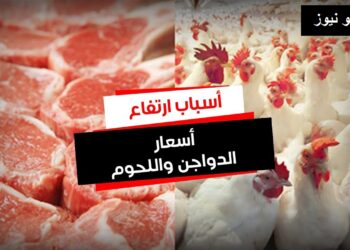 أسعار اللحوم والدواجن اليوم مفاجأة كبيرة في الأسواق الإثنين 13 يناير 2025