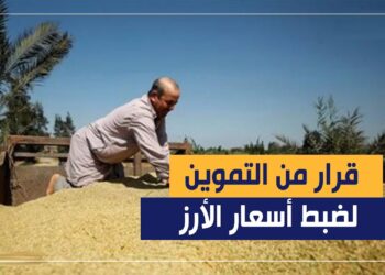 أسواق الأرز في مصر تشهد استقرارًا مع فائض مليون طن