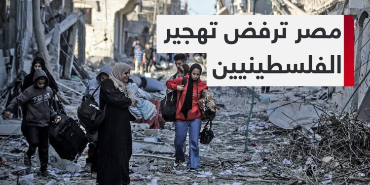 مصر ترفض محاولات تهجير الفلسطينيين وتدعم حقهم في العودة 1 مصر ترفض محاولات تهجير الفلسطينيين وتدعم حقهم في العودة