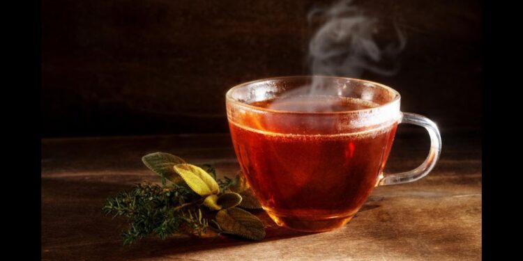 تحذير جديد للمصريين: الشاي بعد الطعام قد يؤذي صحتكم 1 تحذير جديد للمصريين: الشاي بعد الطعام قد يؤذي صحتكم