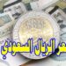 سعر الريال السعودي اليوم في البنوك المصرية الخميس 30 يناير 2025