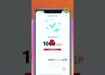 البنك المركزي يوضح حقيقة الخصم من رصيد مستخدمي إنستا باي