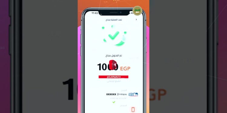 البنك المركزي يوضح حقيقة الخصم من رصيد مستخدمي إنستا باي 1 البنك المركزي يوضح حقيقة الخصم من رصيد مستخدمي إنستا باي