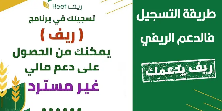 رابط التسجيل في برنامج ريف 2025 وشروط القبول للمواطنين السعوديين