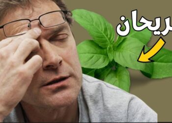 أوراق الريحان علاج طبيعي لمشاكل الجهاز الهضمي وحصوات الكلى