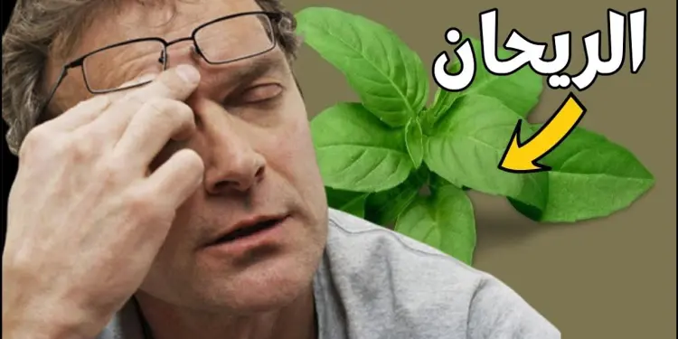 أوراق الريحان علاج طبيعي لمشاكل الجهاز الهضمي وحصوات الكلى