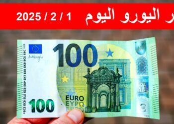 أسعار اليورو اليوم أمام الجنيه المصري السبت 1 فبراير 2025