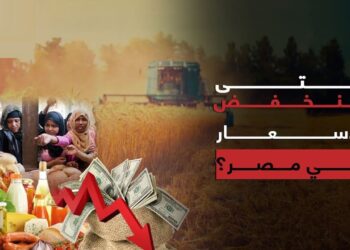 أسعار الحبوب في الأسواق المصرية اليوم الأربعاء 5 فبراير 2025