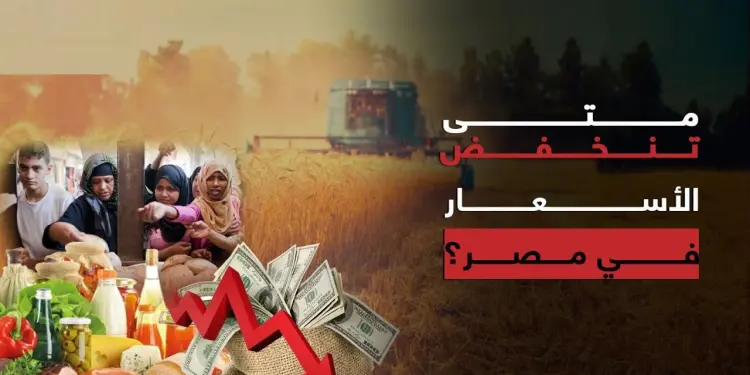 أسعار الحبوب في الأسواق المصرية اليوم الأربعاء 5 فبراير 2025