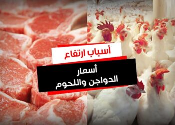أسعار اللحوم والدواجن ترتفع رسميًا اليوم 5 فبراير 2025 في مصر